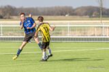 S.K.N.W.K. 1 - Tholense Boys 1 (competitie) seizoen 2022-2023 (79/124)